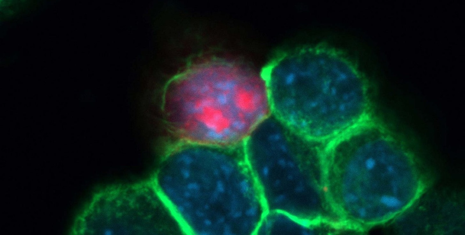 Frequencies In Medicine
